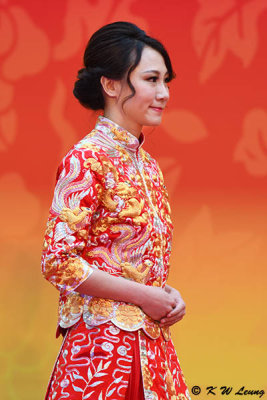 Traditional Chinese Wedding Dress DSC_9935