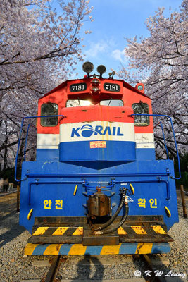 Gyeonghwa Station DSC_2430