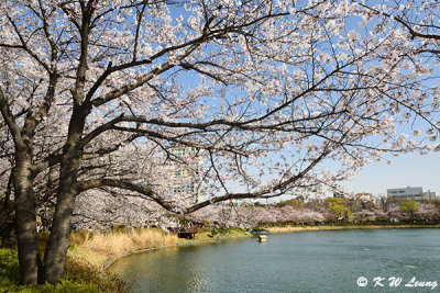 Seokchon Lake DSC_3098