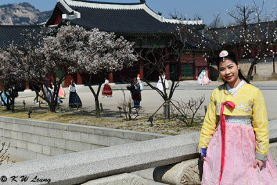 Gyeongbokgung DSC_2683