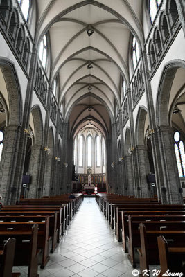 Myeongdong Cathedral DSC_2982