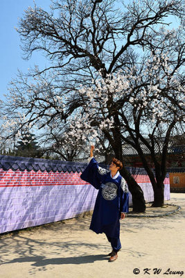 Gyeongbokgung DSC_2720