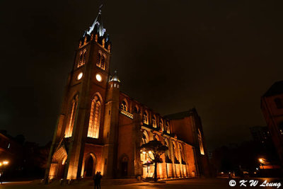 Myeongdong Cathedral DSC_3370