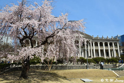 Deoksugung Palace DSC_3458