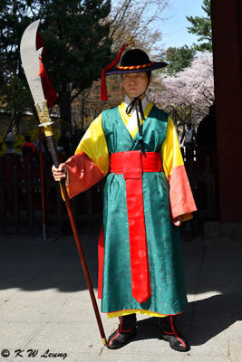 Palace guard DSC_3397