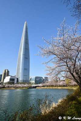 Seokchon Lake & Lotte World Tower DSC_3130