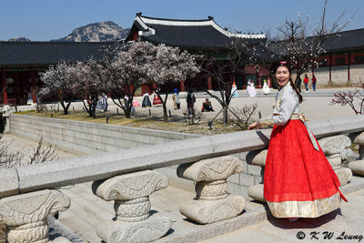 Gyeongbokgung DSC_2685