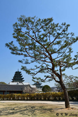 Gyeongbokgung DSC_2731