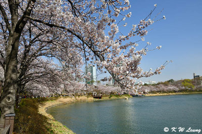 Seokchon Lake DSC_3091