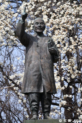 Statue of Cho Man-sik DSC_3507