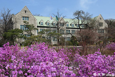 Ewha Womans University DSC_3029