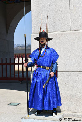 Palace Guard DSC_2783