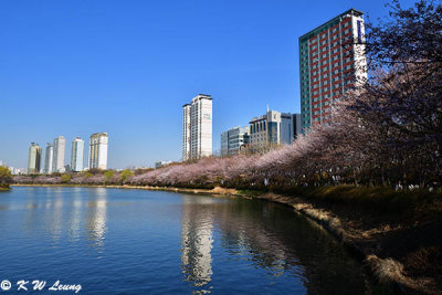 Seokchon Lake DSC_3146