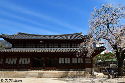 Deoksugung Palace DSC_3408