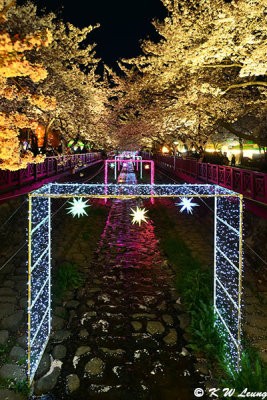 Yeojwacheon Stream @ night DSC_2453