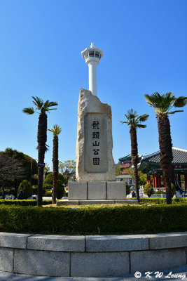 Yongdusan Park DSC_2525