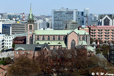 Myeongdong Cathedral DSC_2565