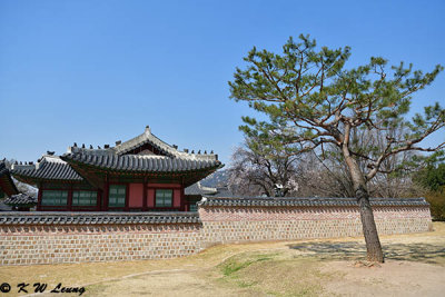Gyeongbokgung DSC_2734