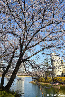 Seokchon Lake DSC_3156