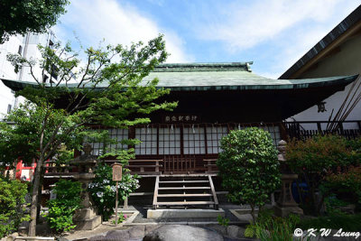 Kushida Shrine DSC_8947