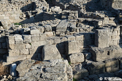 Ruins of Troy DSC_0081