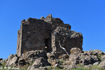 Ruins DSC_0199