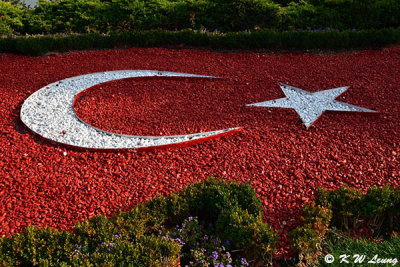Turkish flag made of flowers DSC_1131