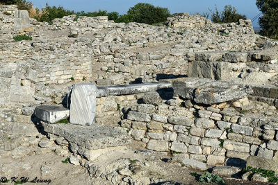 Ruins of Troy DSC_0077
