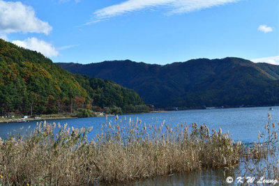 Lake Kawaguchiko DSC_2045
