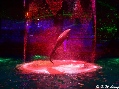 g12/75/35275/3/170084507.nMdXSA8S.jpg