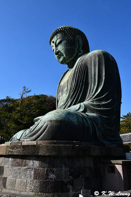 Great Buddha of Kamakura DSC_2186