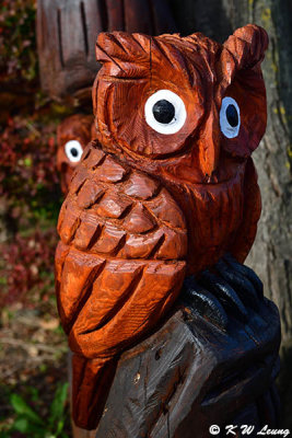 Wooden owl, Kawaguchiko Craft Park DSC_1826