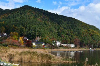 Lake Kawaguchiko DSC_1755