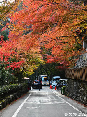 On the road to Kifune DSC_2700