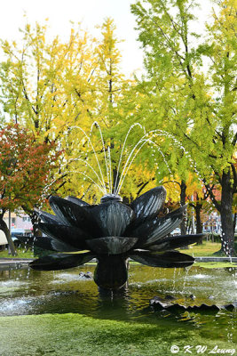 Lotus-type fountain outside Higashi Hongan-ji DSC_2260 