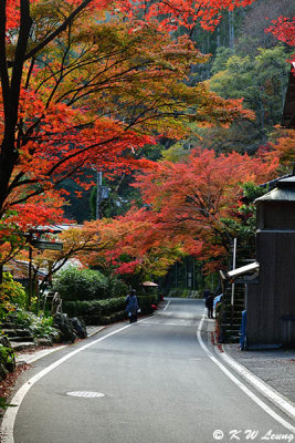 On the road to Kifune DSC_2703
