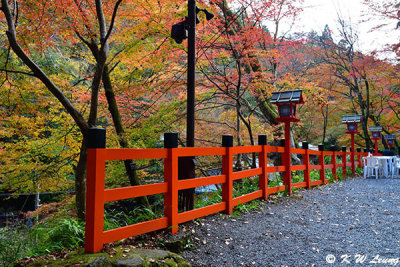 Kifune Shrine DSC_2709