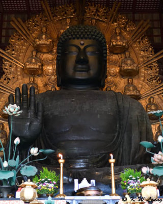 Great Buddha @ Daibutsuden, Todaij DSC_3198