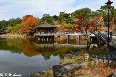 Asajigahara Park & Ukimido Pavilion DSC_3034