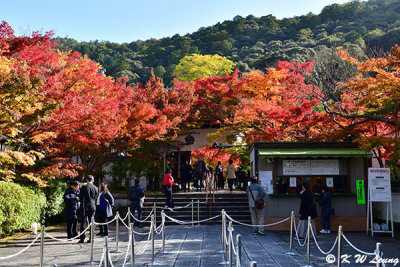 Entrance DSC_3242