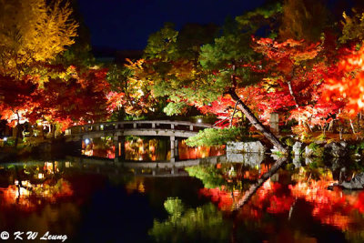 Hojo Pond @ night DSC_3554