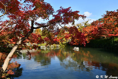 Hojo Pond DSC_3278