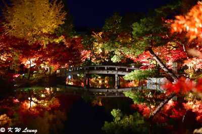 Hojo Pond @ night DSC_3560