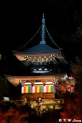 Tahoto Pagoda @ night DSC_3499
