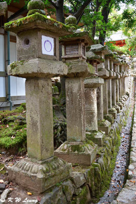 Stone lanterns, Kasuga Taisha Shrine DSC_3070