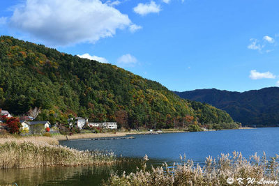 Lake Kawaguchiko DSC_2052