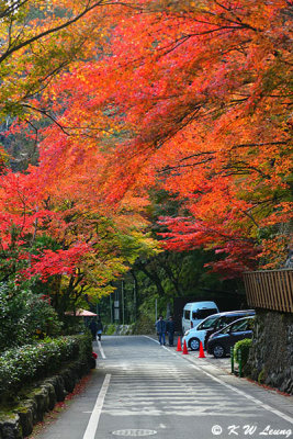On the road to Kifune DSC_2701