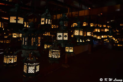 Lanterns of Fujinami-no-ya Hall, Kasuga Taisha Shrine DSC_3093