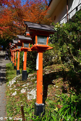 Lamp poles, Kurama-dera DSC_2605