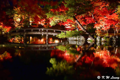 Hojo Pond @ night DSC_3539